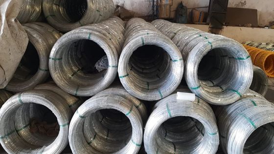 Non allié SAE1006 Fil laminé à chaud Z35 Barre de fil d'acier galvanisé en bobines pour la fabrication de clous Tolérance ±1% ±1% Tolérance